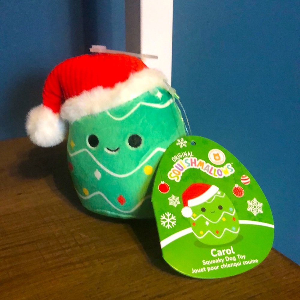 Squishmallow Squeaky Dog Toy